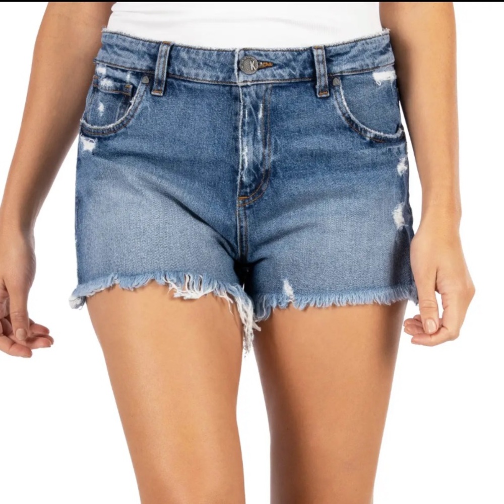 Jane High Waist Distressed Fray Hem Cutoff Denim Shorts